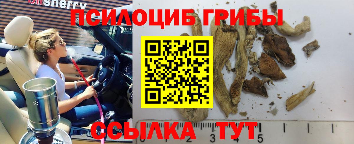 Галлюциногенные грибы Cubensis Новодвинск