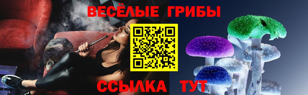 цена наркотик  Псилоцибиновые грибы ЛСД  Вход с VPN  Новодвинск 